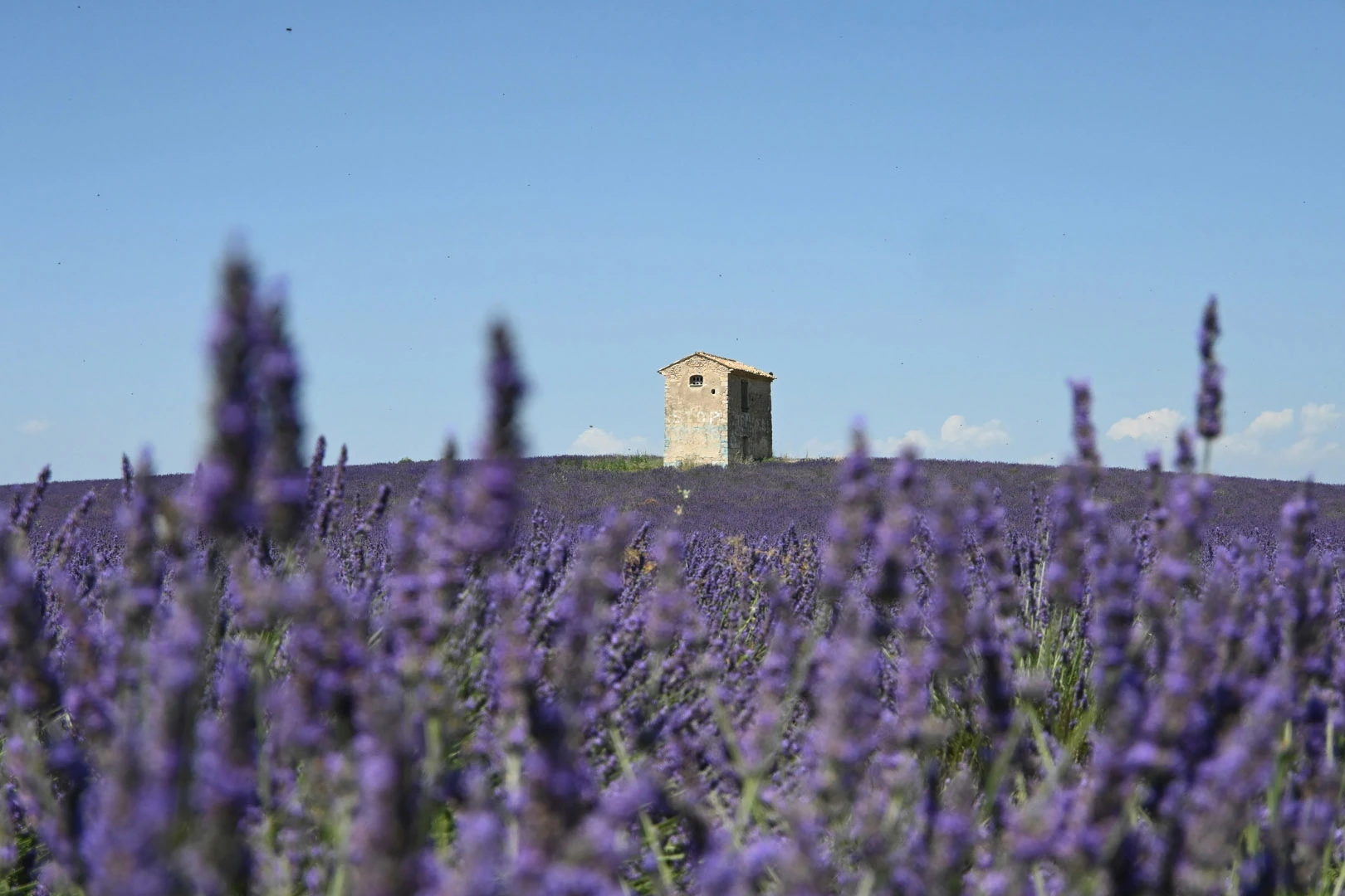 frankrijk-header