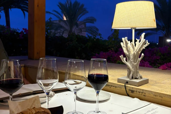 WhatsApp Image 2025-11-13 at 09.09.17 (1)