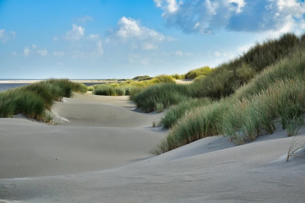 Top 5 Ausflüge in Nordholland
